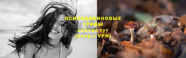 СК Кукмор