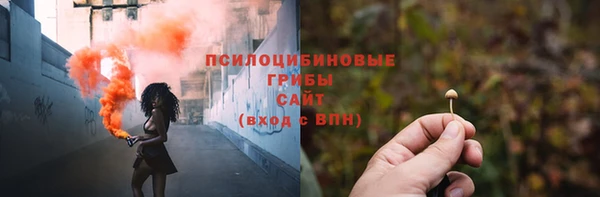 PSILOCYBIN Куйбышев