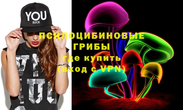 дмт Кулебаки