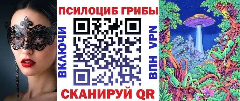 Галлюциногенные грибы MAGIC MUSHROOMS  Купить закладки  Аша 